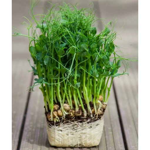 Žalieji žirneliai, Bio Planet, 500g - Image 2