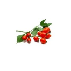 Alternative view of Erškėtuogių aliejus, BIOCOS