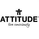 Attitude