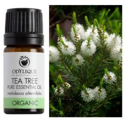 Arbatmedžio eterinis aliejus, ekologiškas, Odylique, 5ml