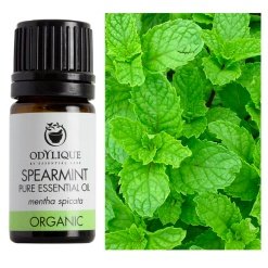 Šaltmėčių eterinis aliejus, ekologiškas, Odylique, 5ml